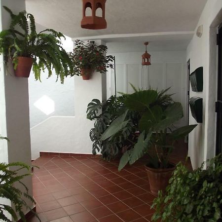 Apartamento En Conil Conil De La Frontera Exterior photo