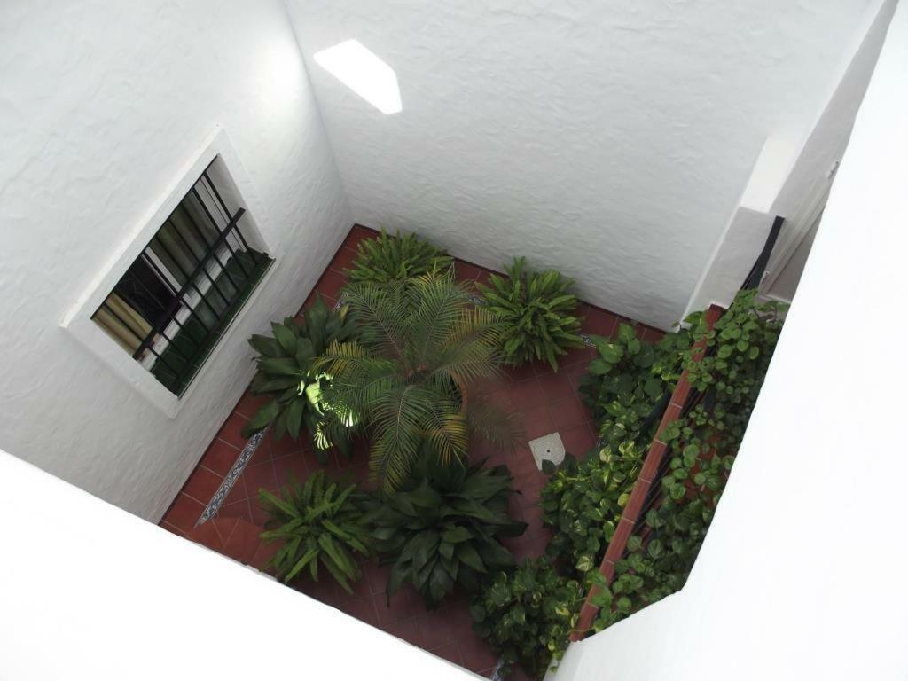 Apartamento En Conil Conil De La Frontera Exterior photo